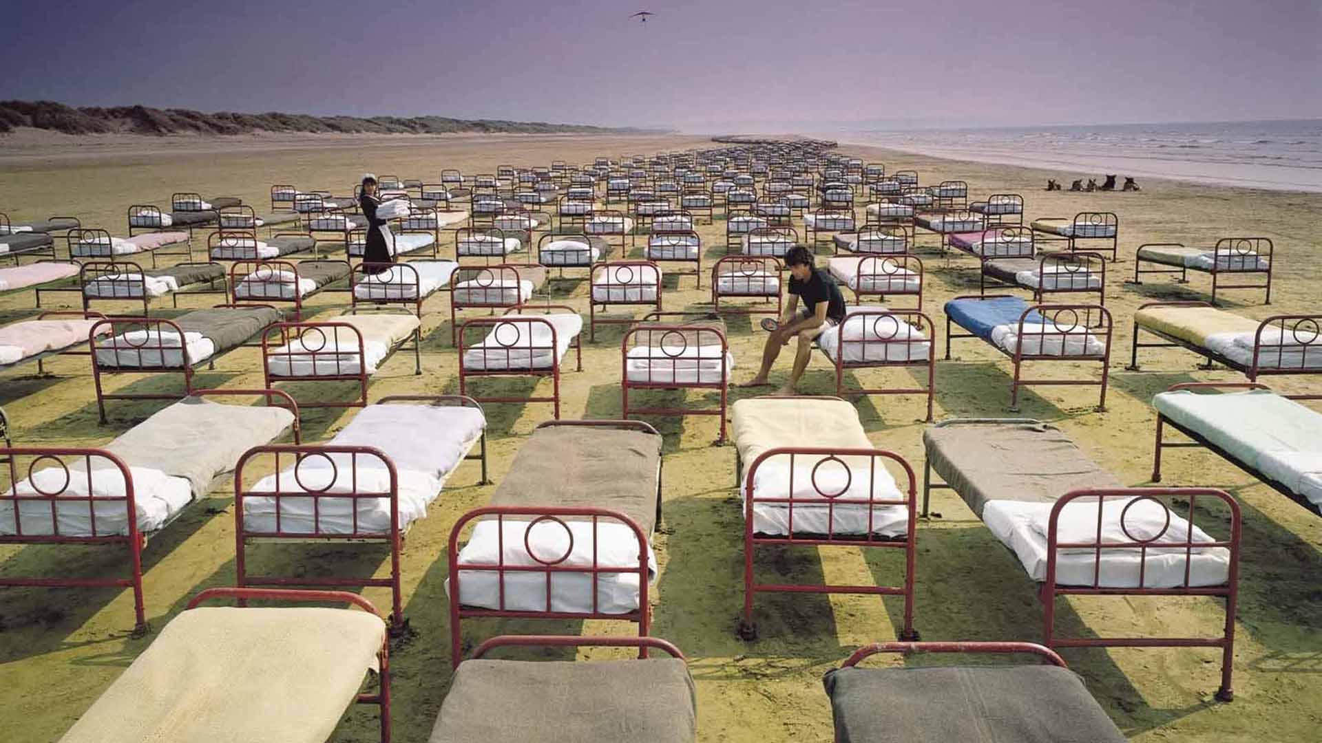 Pink Floyd Animals Wallpapers Wallpaper Cave