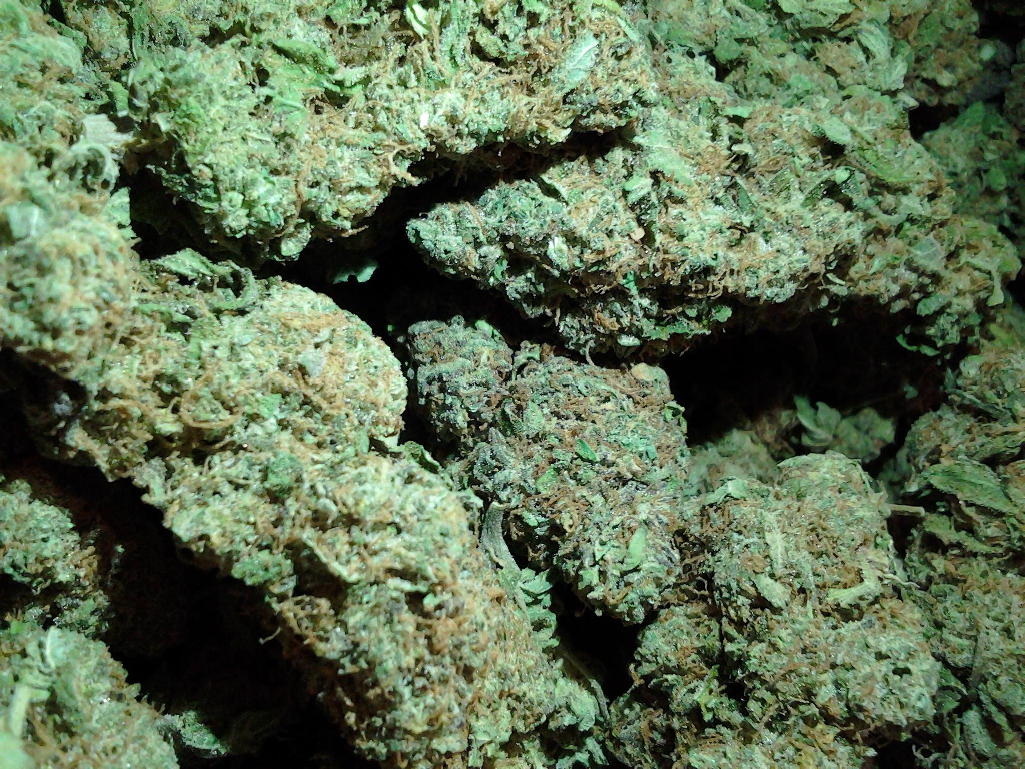 Kush Wallpapers Wallpaper Cave