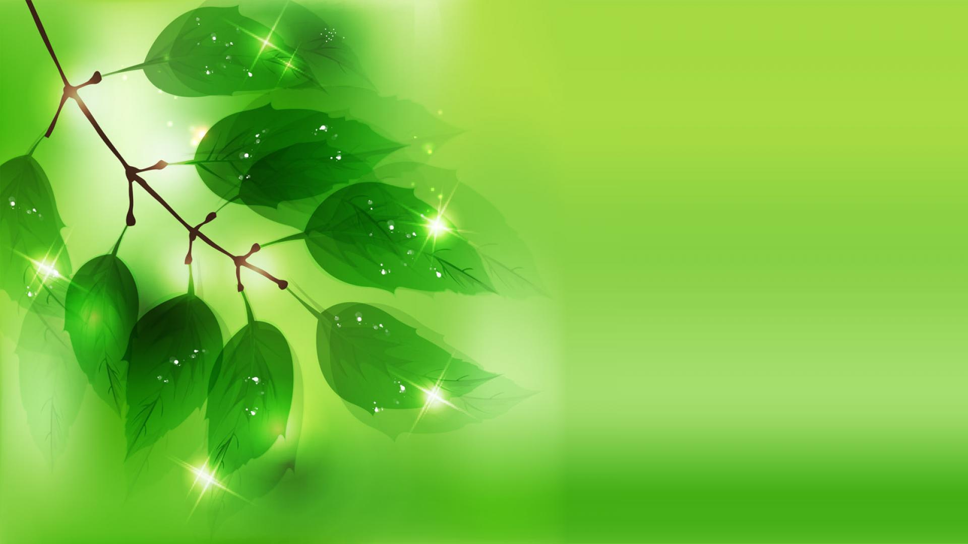 Green Leaves Wallpapers Wallpaper Cave