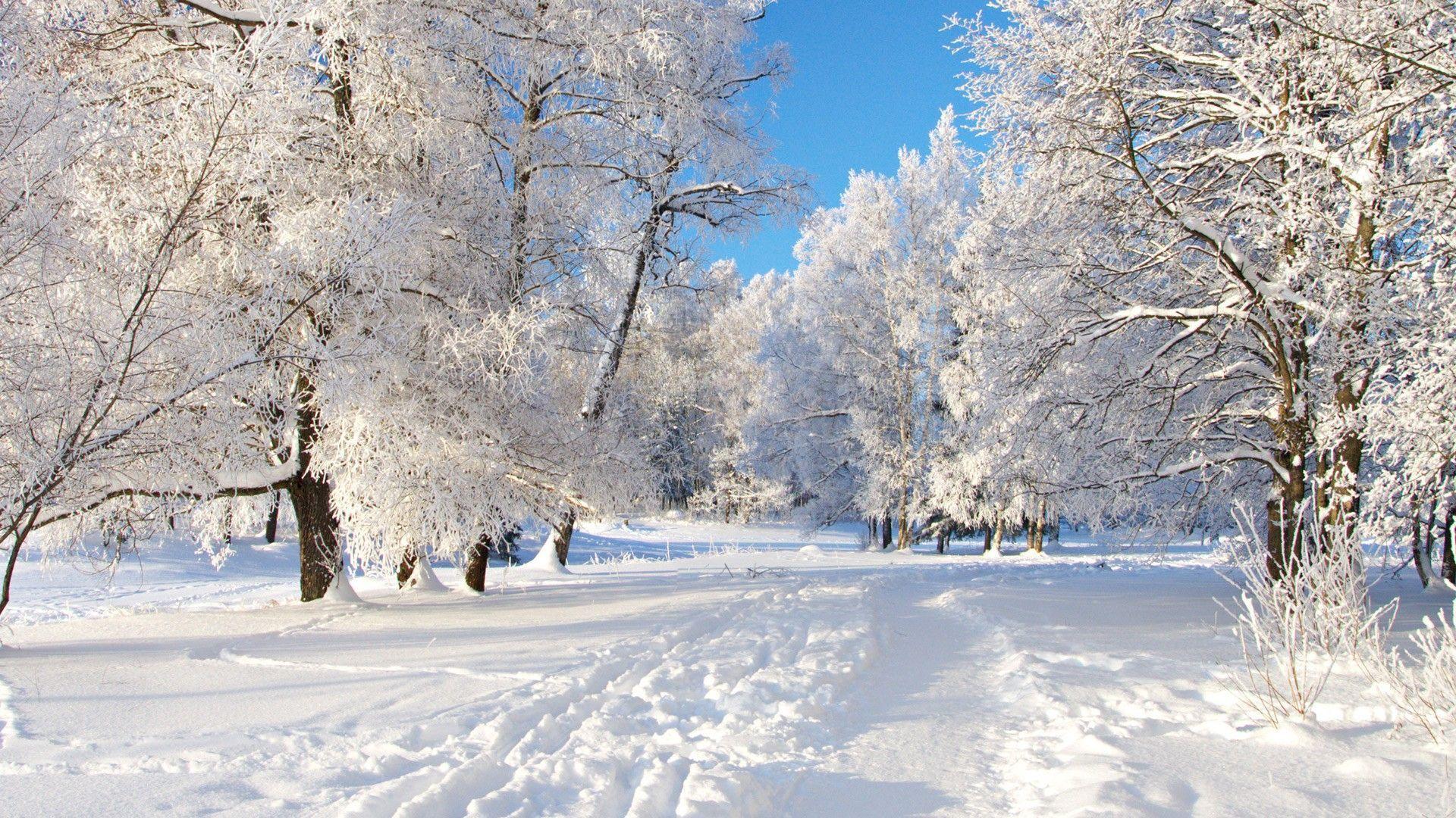 Winter Snow Backgrounds Wallpaper Cave