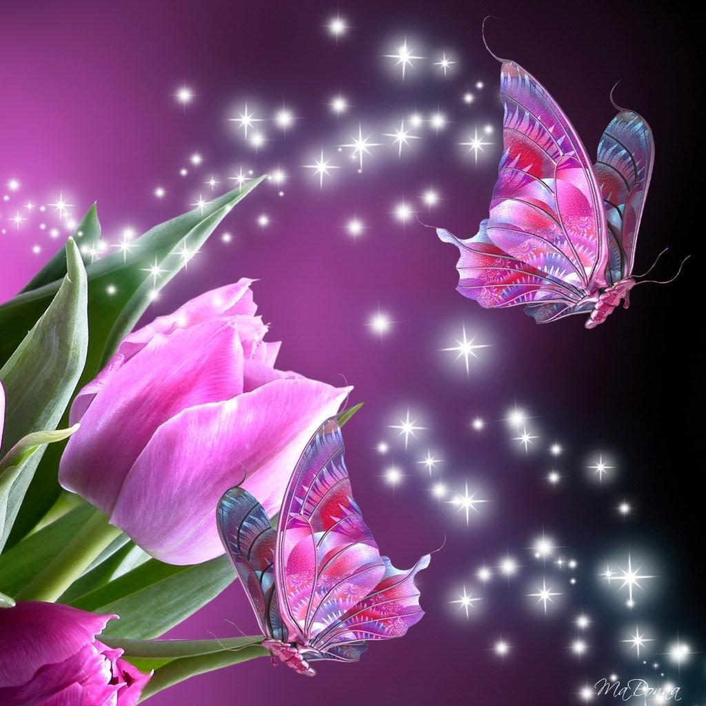 3D Butterfly Wallpapers Wallpaper Cave