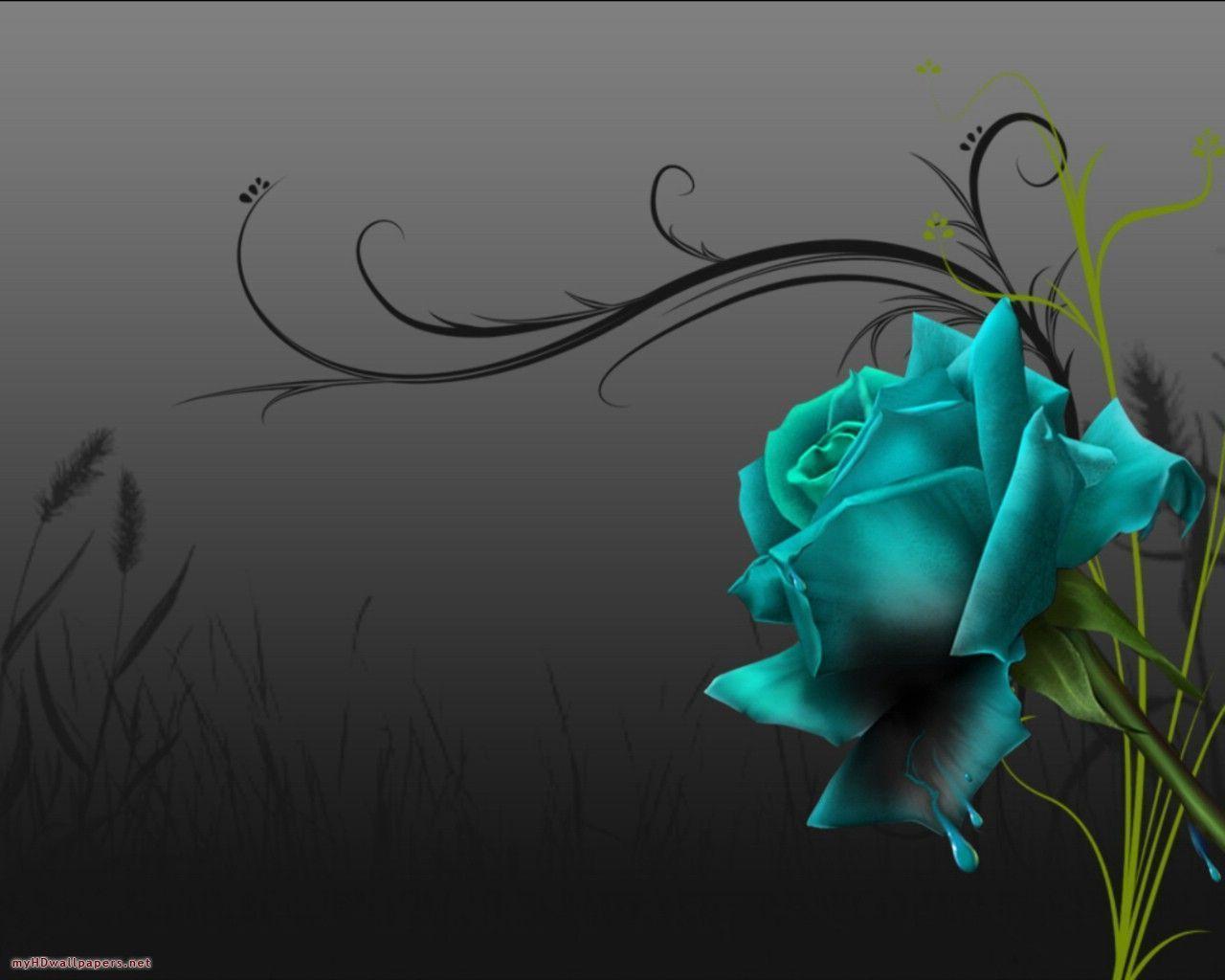 Black Rose Wallpapers Wallpaper Cave