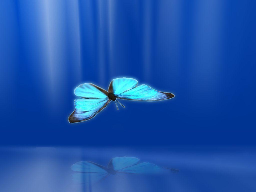Blue Butterfly Wallpapers Wallpaper Cave