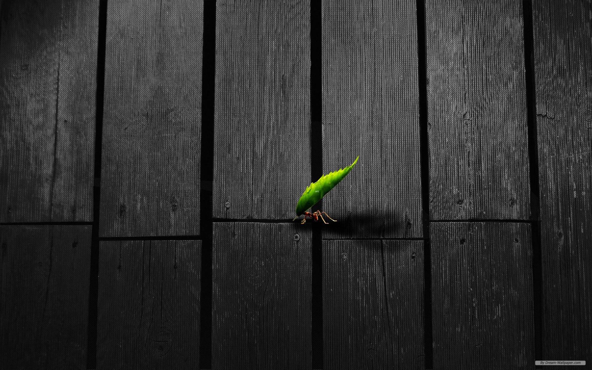 Artsy Desktop Wallpapers Wallpaper Cave