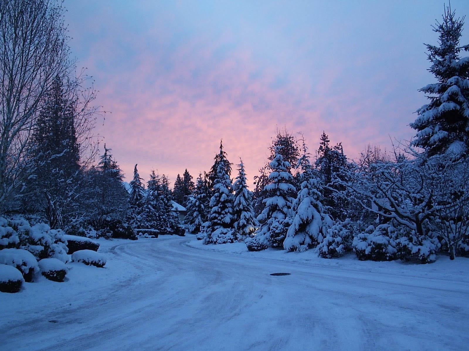 Free Winter Backgrounds Wallpapers Wallpaper Cave