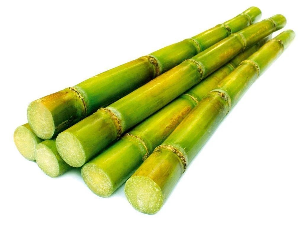 Sugarcane Wallpapers Wallpaper Cave