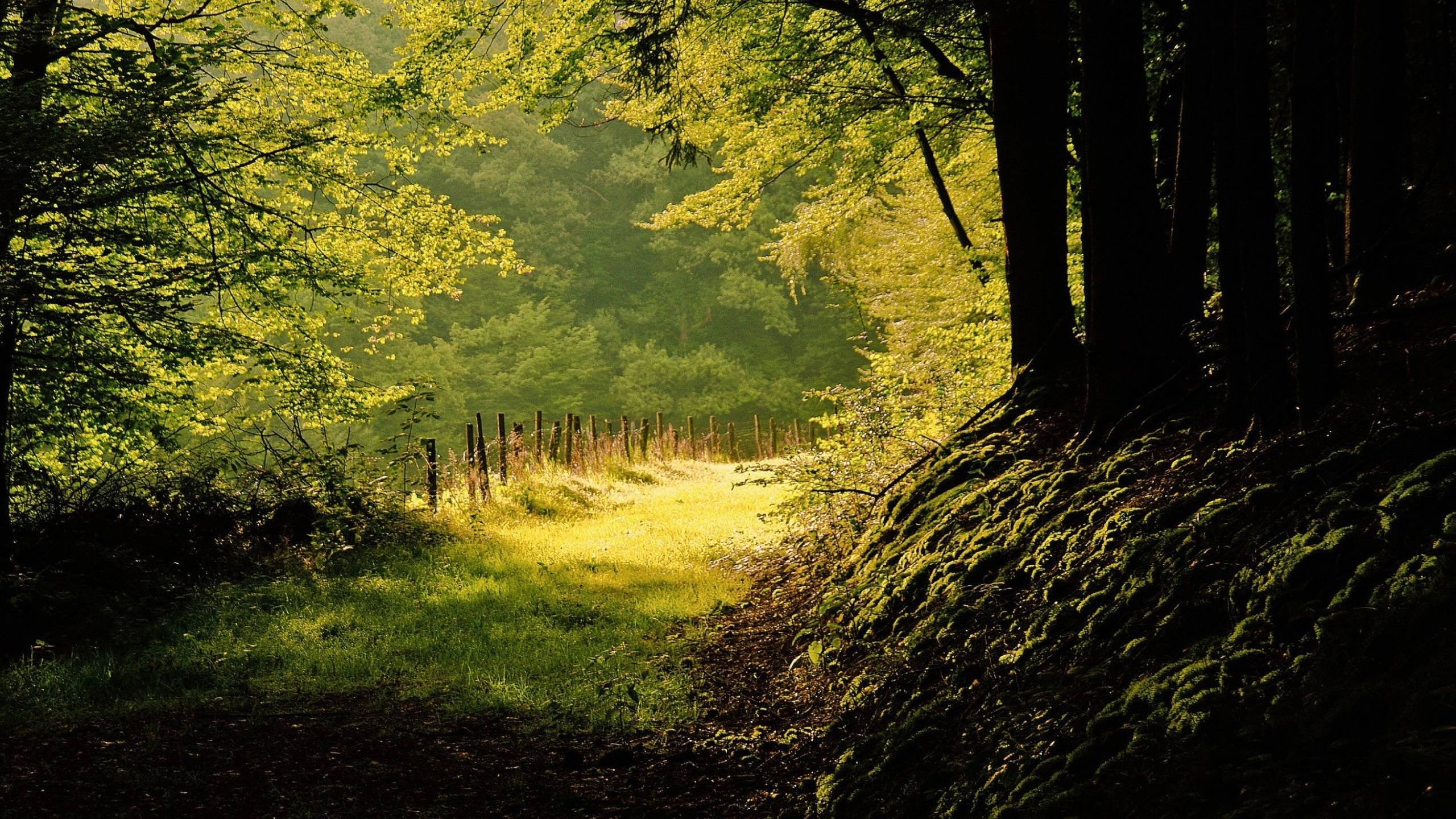 IMac Wallpapers Wallpaper Cave