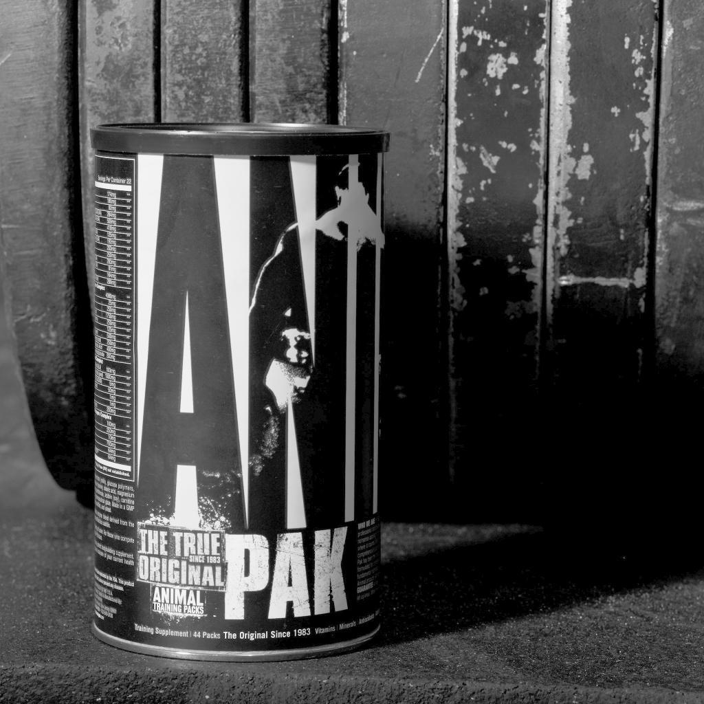 Animal Pak Wallpapers Wallpaper Cave