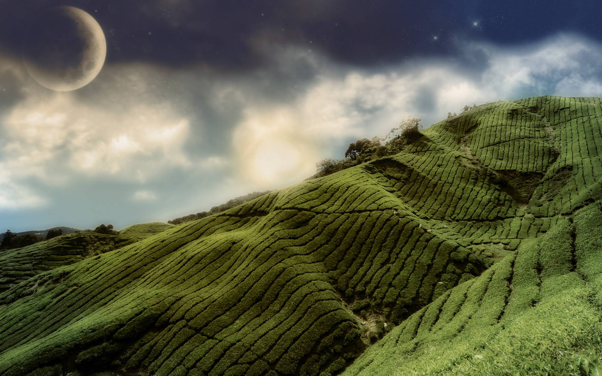 Green Hills Wallpapers Wallpaper Cave