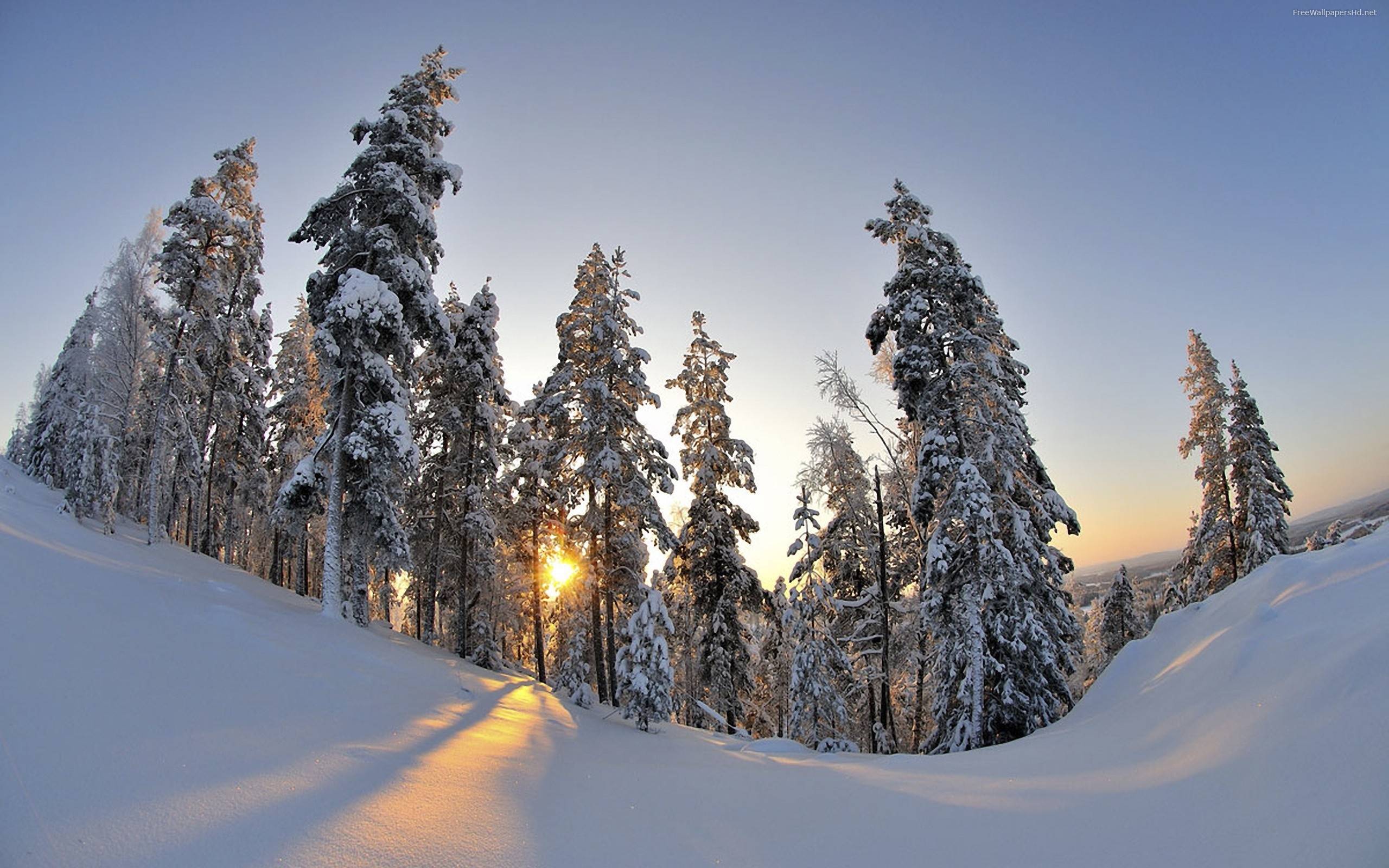 Snowboarding Wallpapers HD Wallpaper Cave
