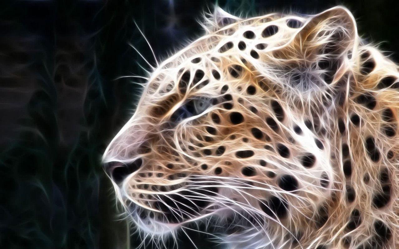 Big Cats Wallpapers Wallpaper Cave
