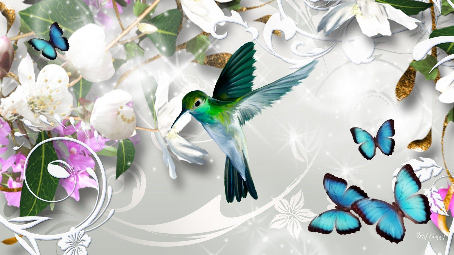 Hummingbird Wallpapers Wallpaper Cave