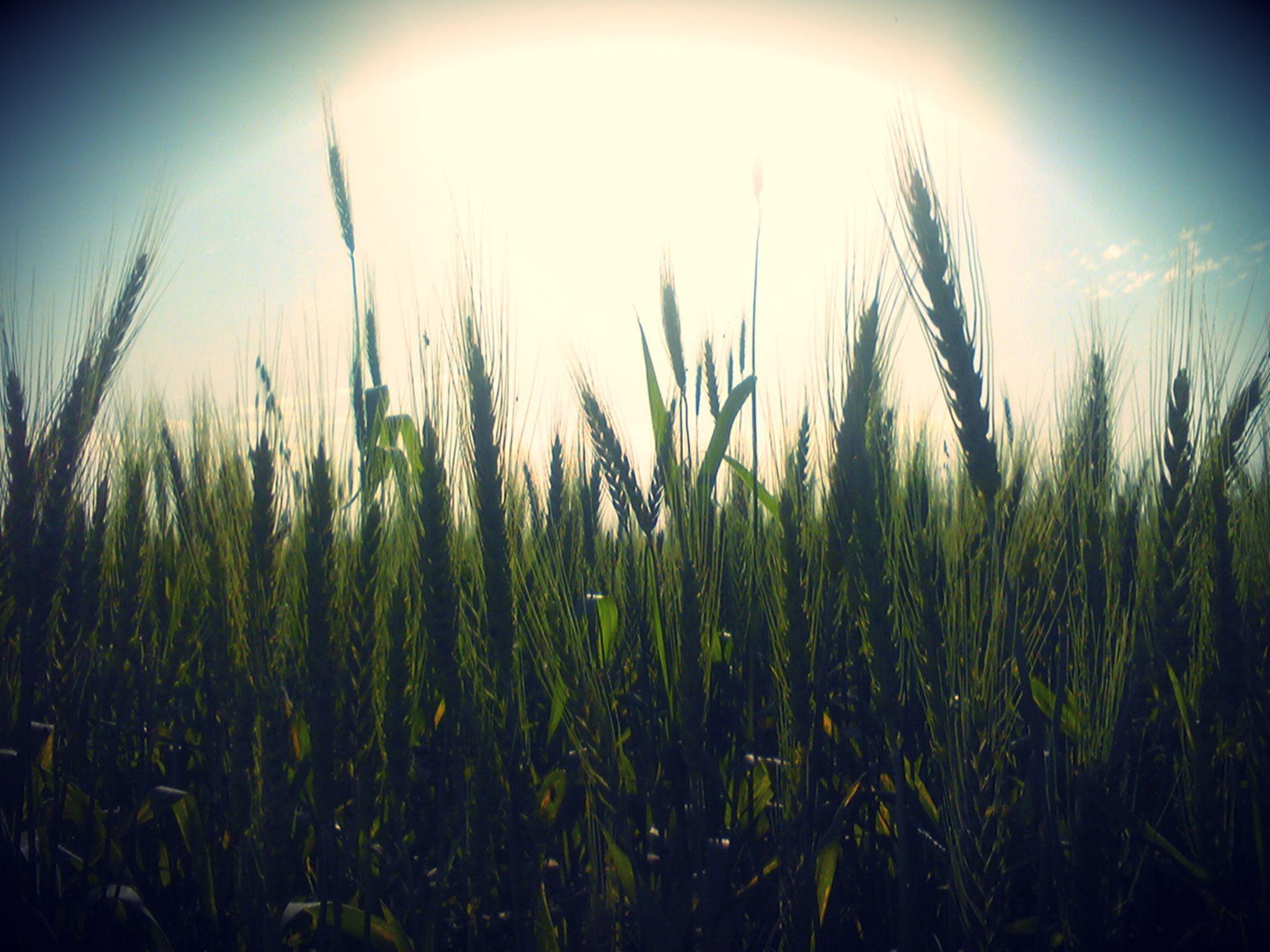 Hipster Computer Backgrounds Wallpaper Cave