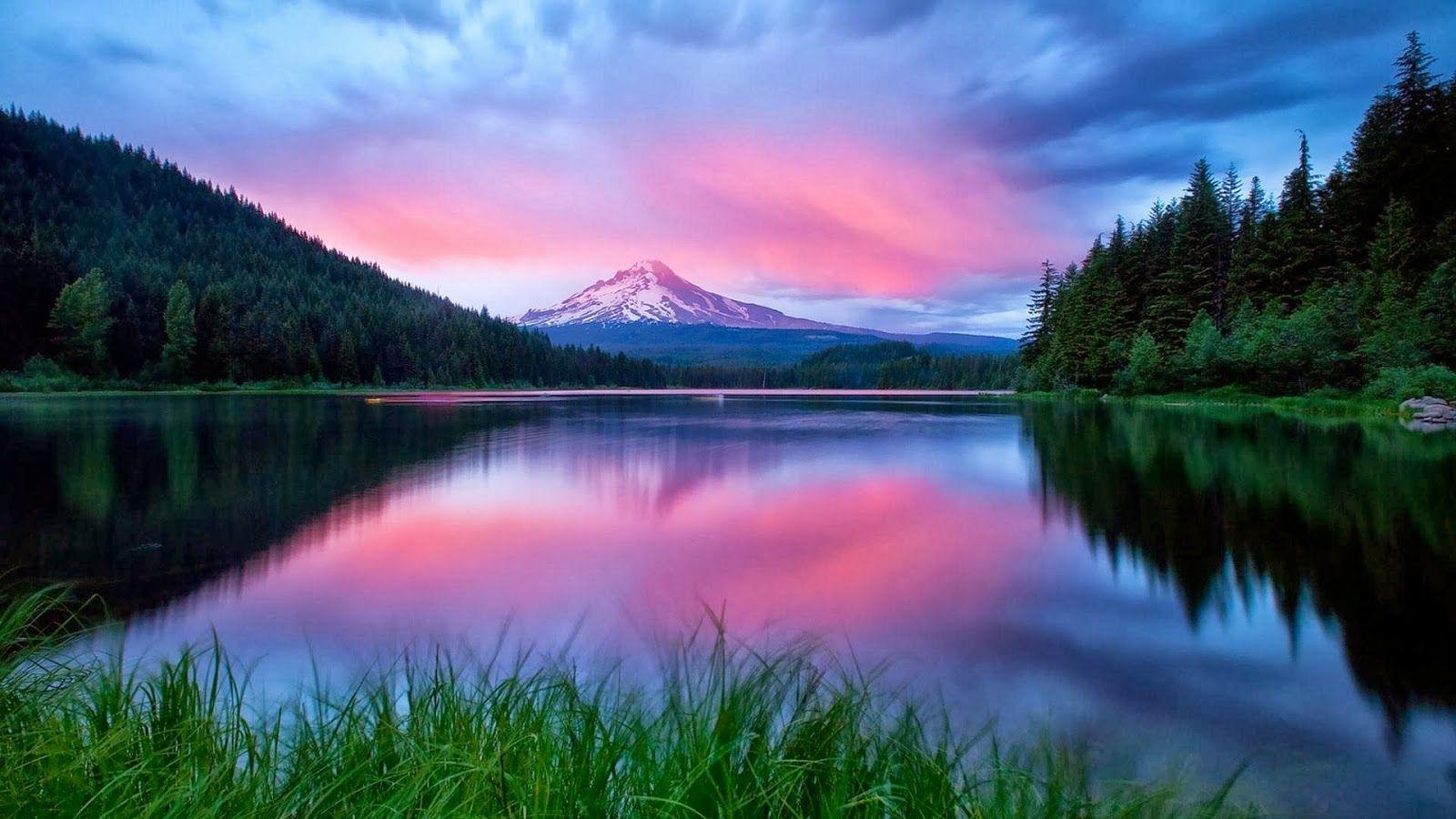 Free Nature HD Wallpapers Wallpaper Cave