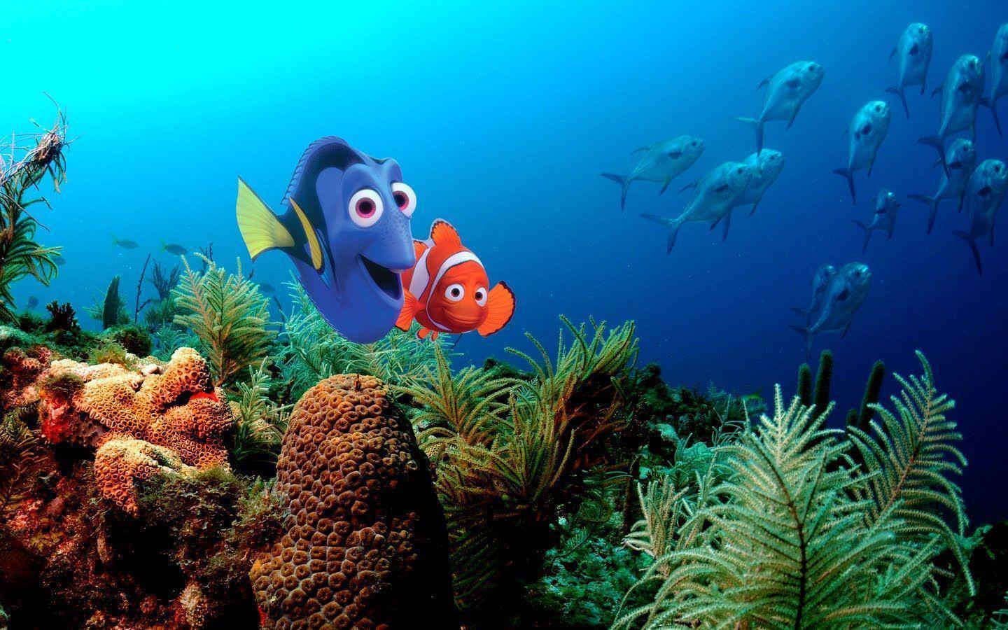 Finding Nemo Wallpapers Wallpaper Cave