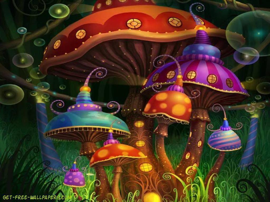 Mushroom Wallpapers Wallpaper Cave