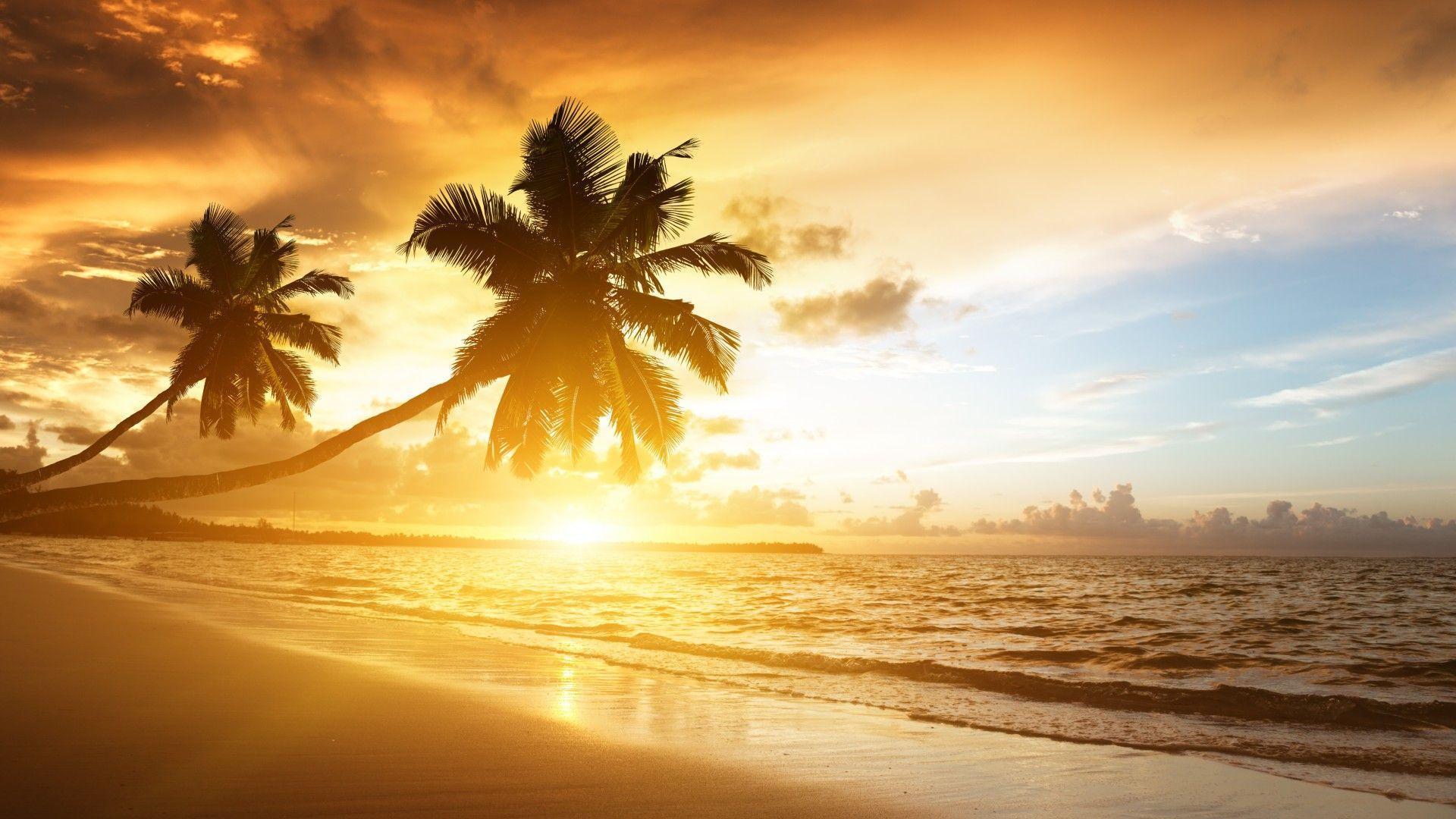 Beach Sunrise Wallpapers Wallpaper Cave