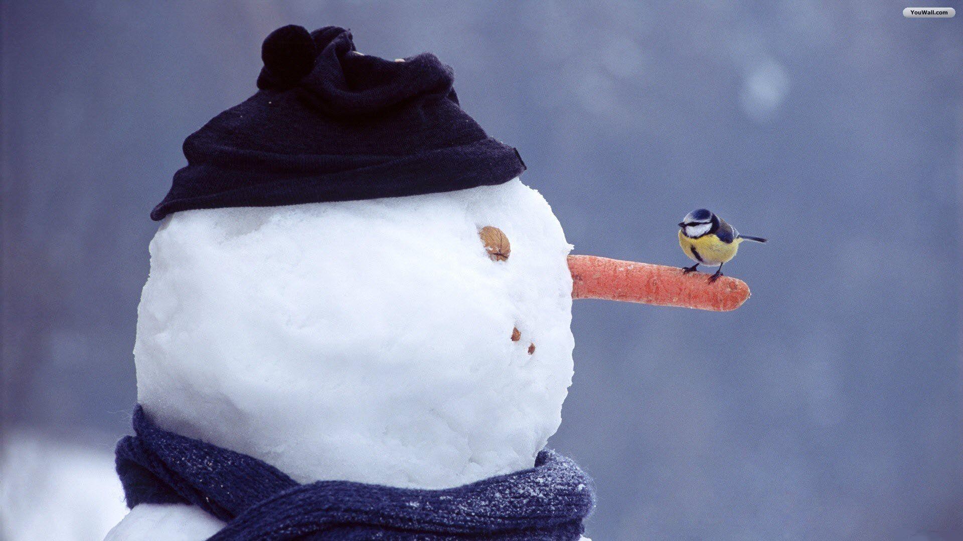 Free Snowman Desktop Wallpapers Wallpaper Cave