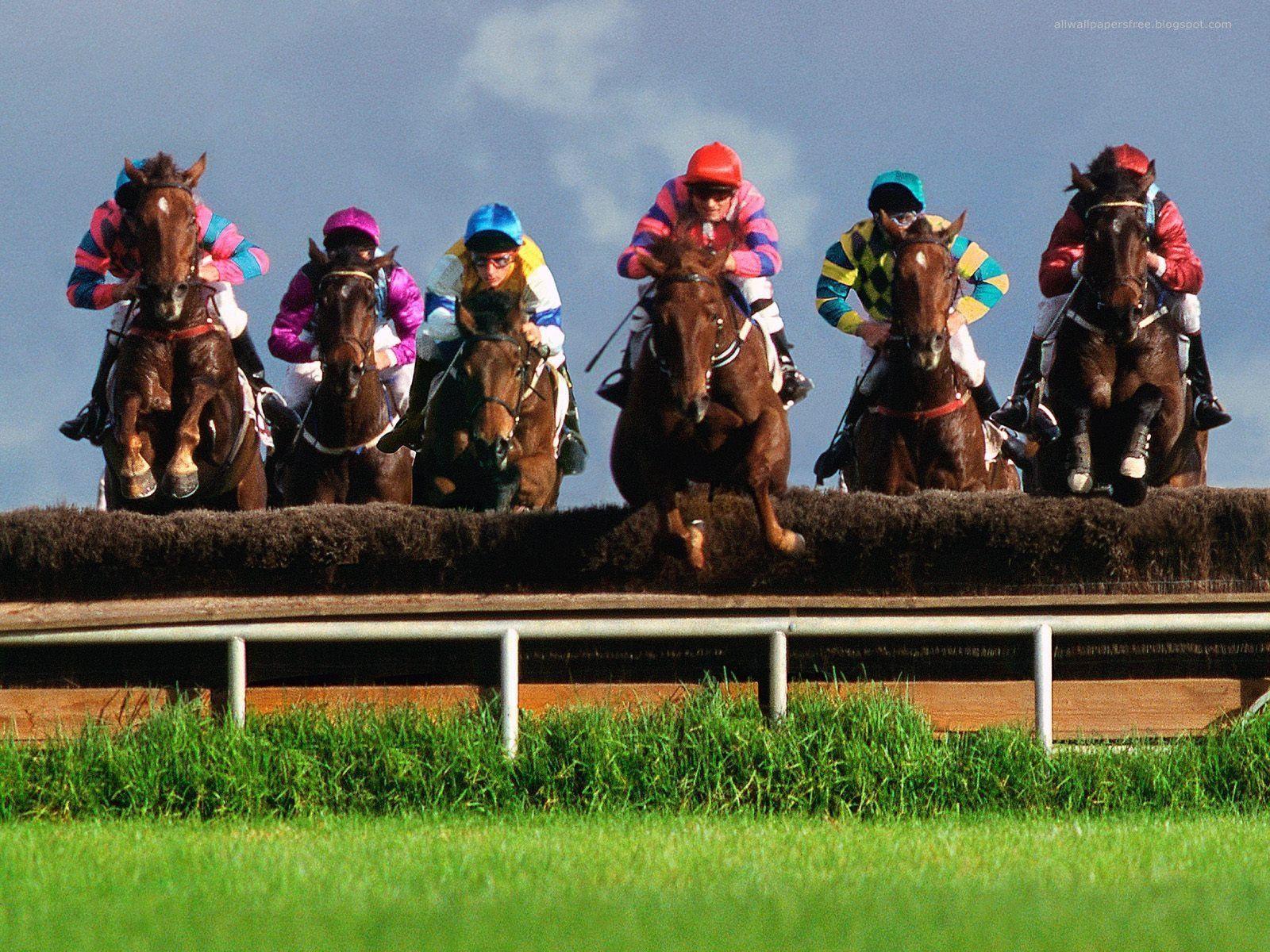 Horse Racing Wallpapers Wallpaper Cave