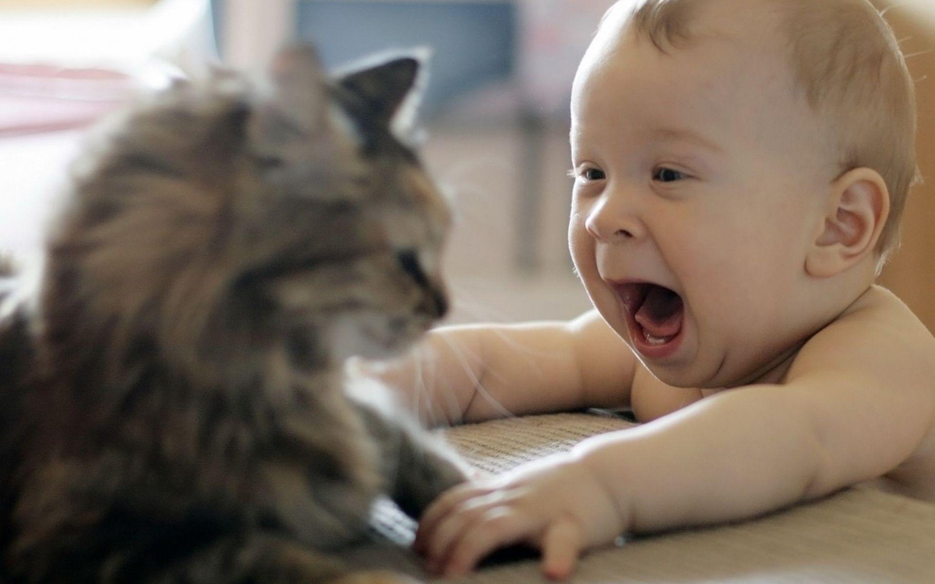 Funny Baby Wallpapers Wallpaper Cave