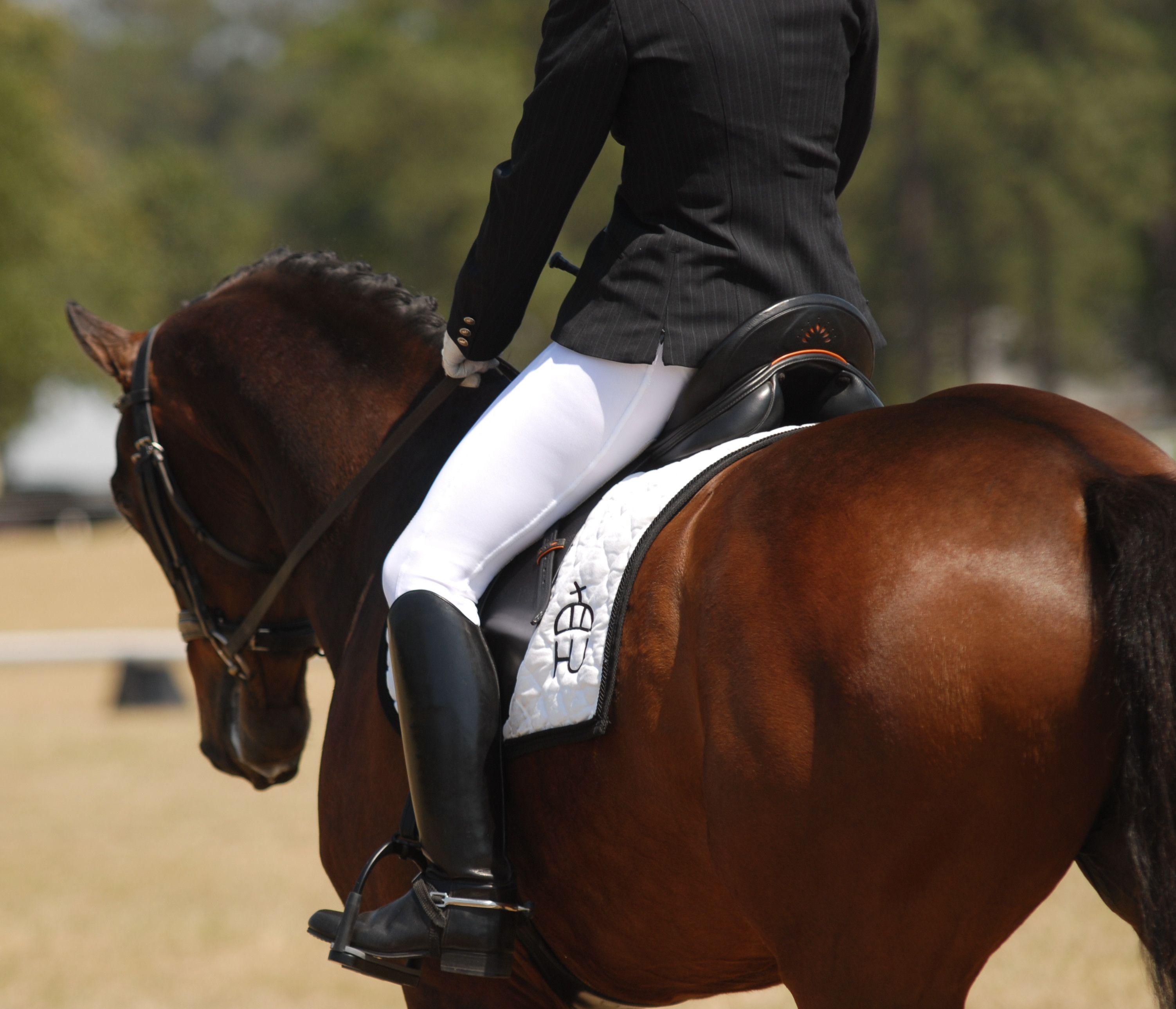 Dressage Wallpapers Wallpaper Cave