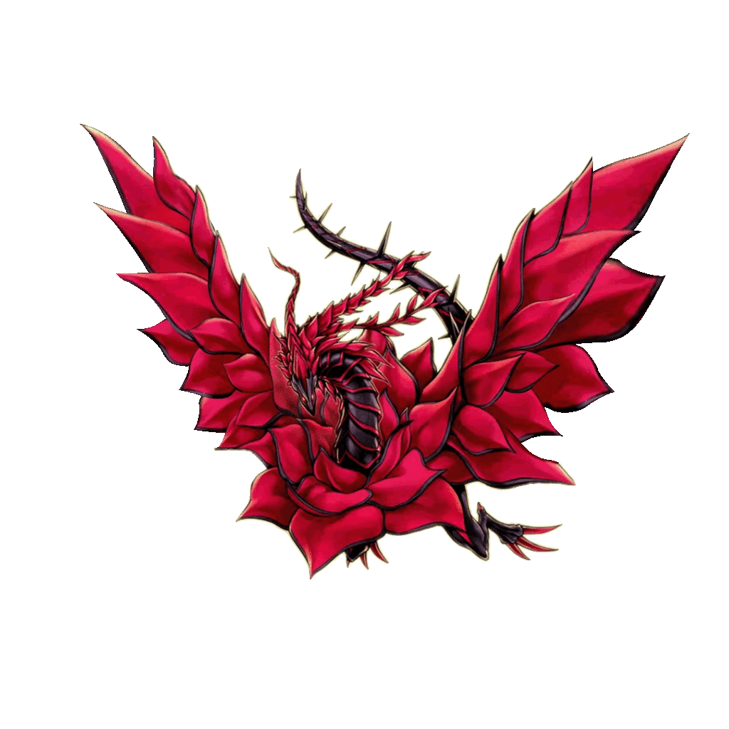 Black Rose Dragon Wallpapers Wallpaper Cave