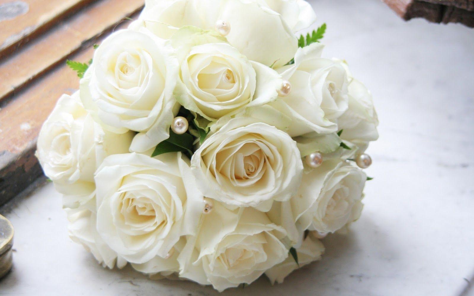White Rose Love Wallpapers Wallpaper Cave