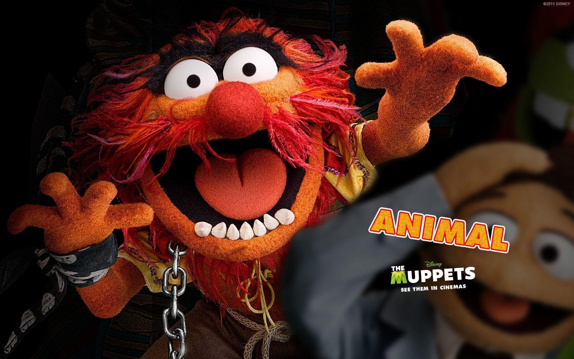 Muppets Wallpapers Wallpaper Cave