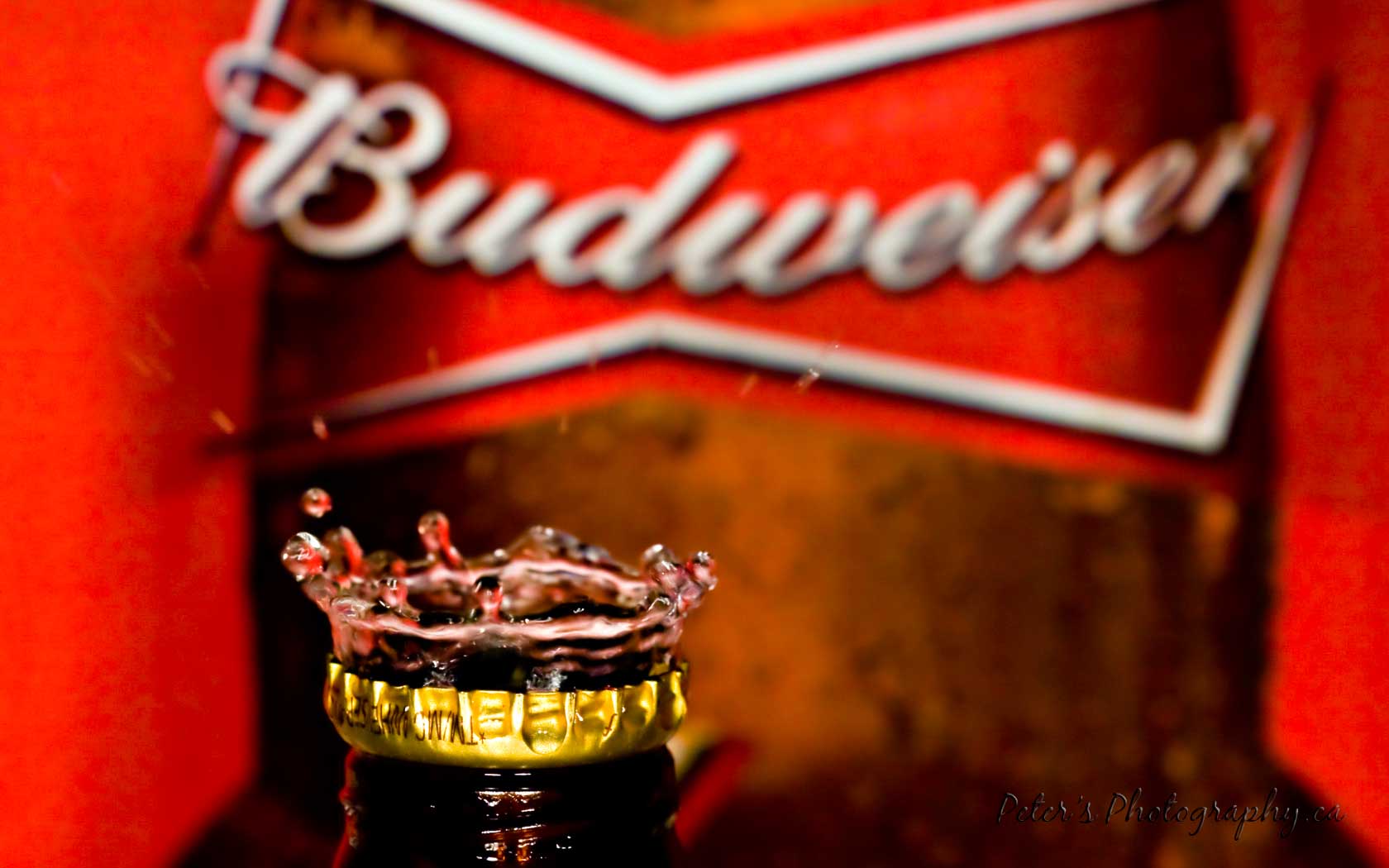Budweiser Wallpapers Wallpaper Cave