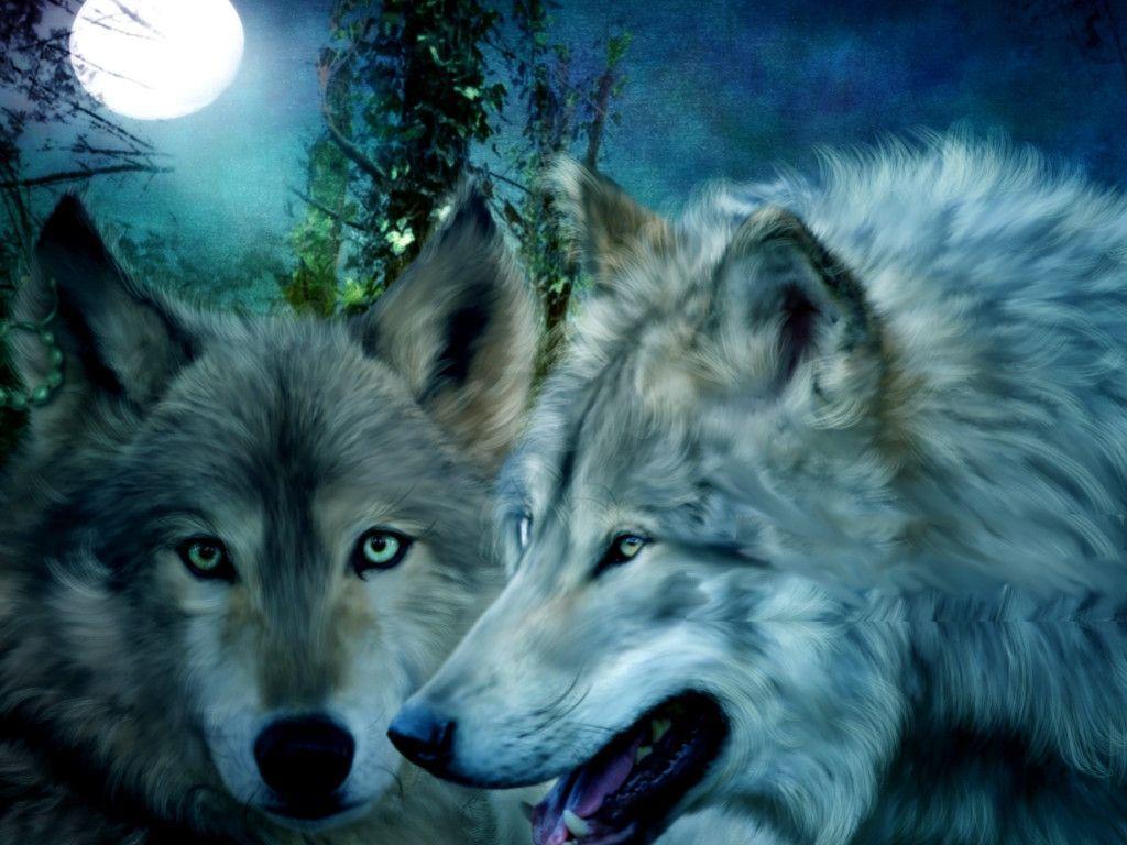 Beautiful Wolf Wallpapers Wallpaper Cave