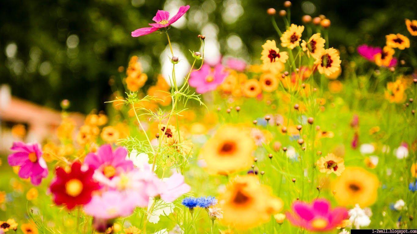 Nice Cute Wallpapers Wallpaper Cave