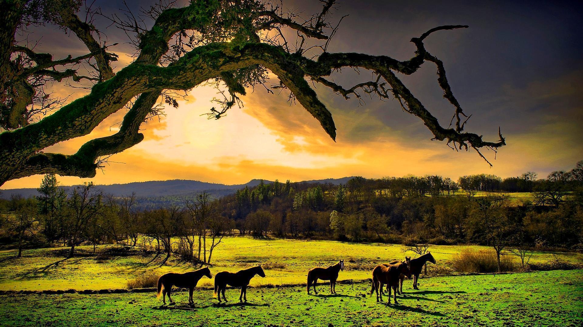 Relaxing Wallpapers Wallpaper Cave