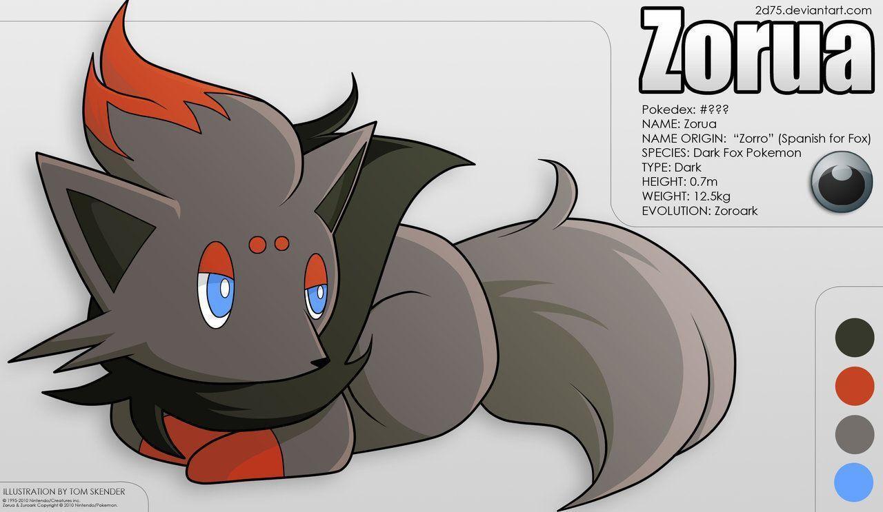 Zorua Wallpapers Wallpaper Cave