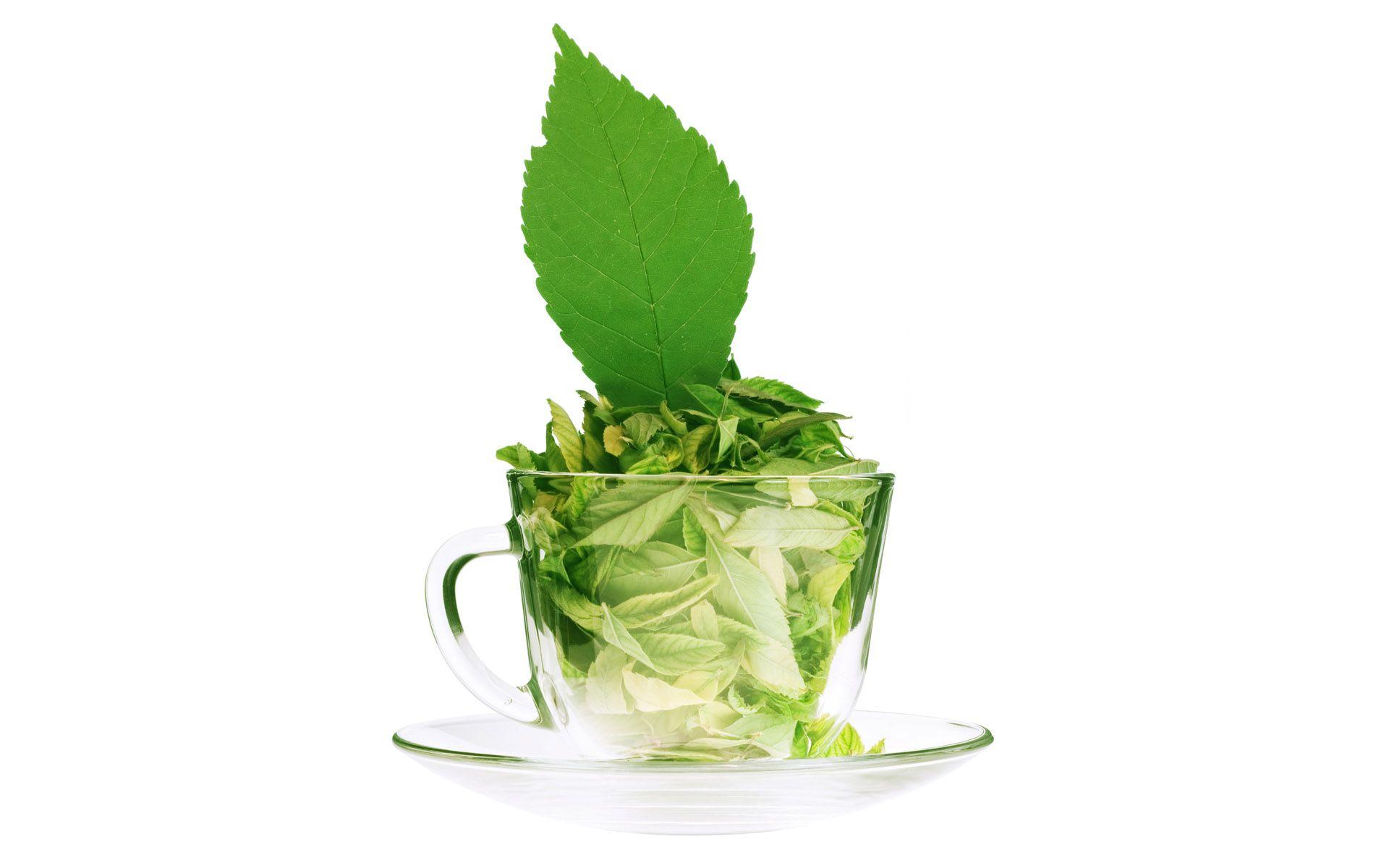 Green Tea Wallpapers Wallpaper Cave