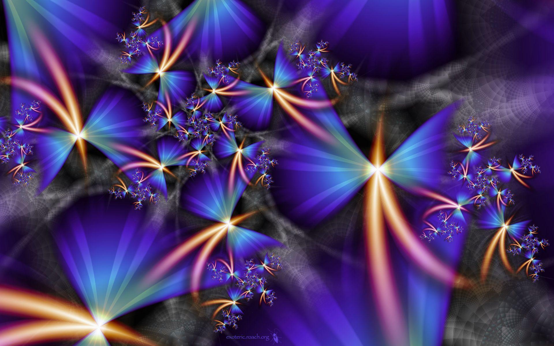 Birds Of Paradise Wallpapers Wallpaper Cave