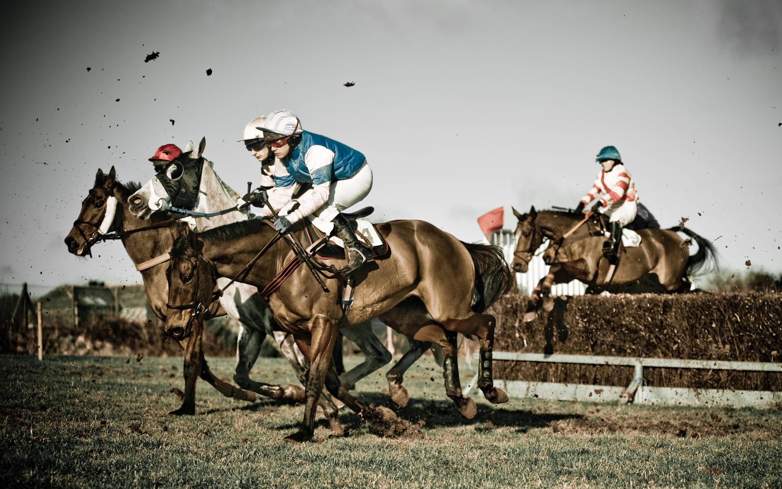 Horse Racing Wallpapers Wallpaper Cave