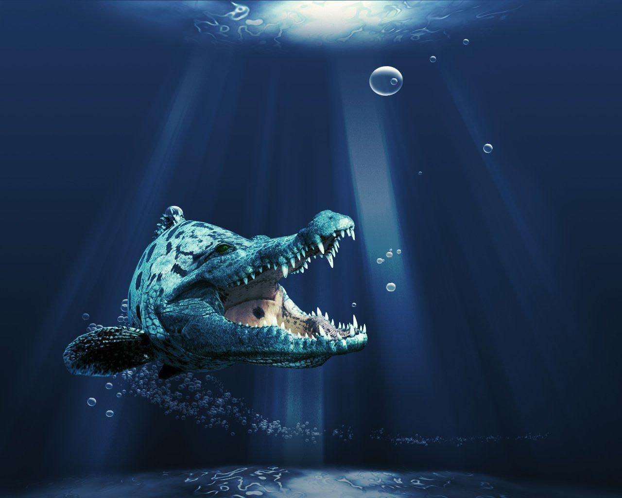 Crocodile Wallpapers Wallpaper Cave