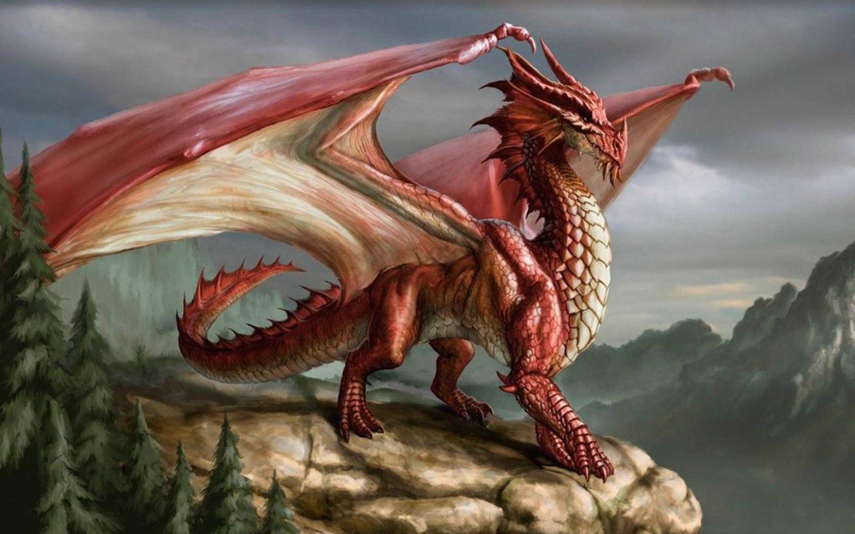 Red Dragon Wallpapers Wallpaper Cave