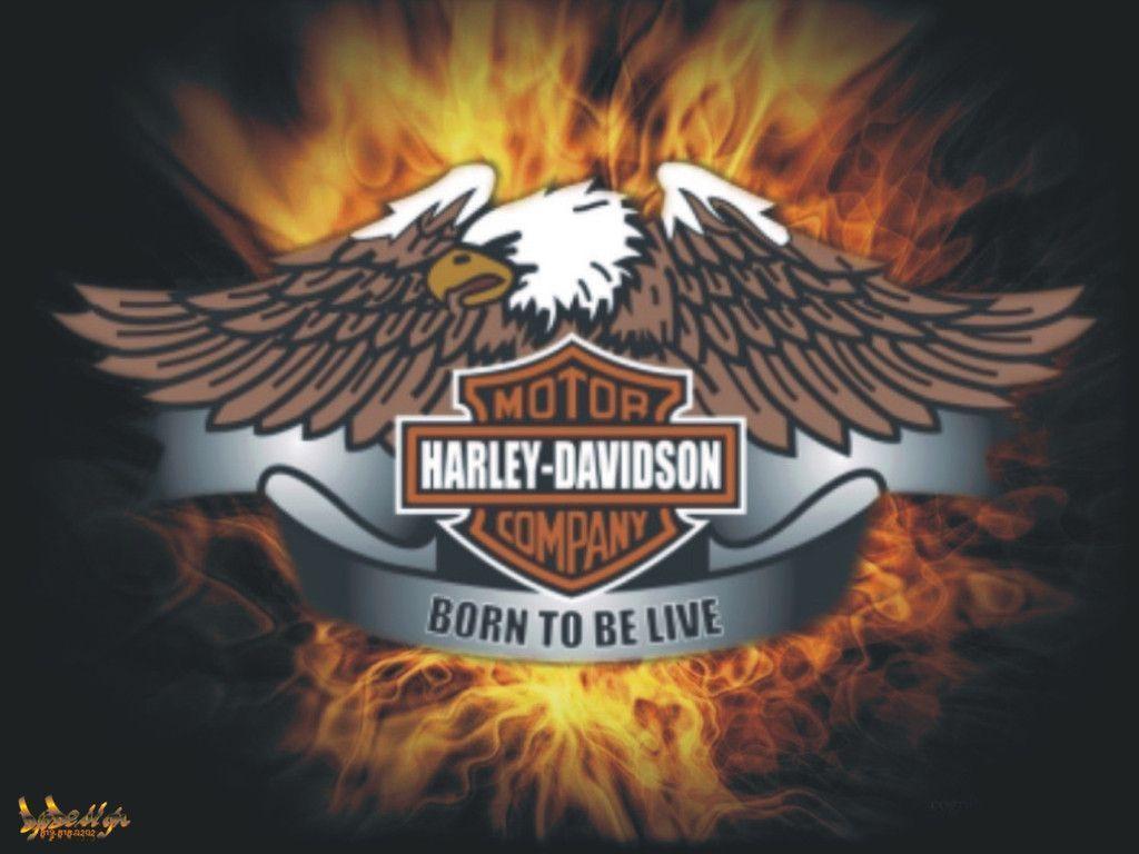 Free Harley Davidson Wallpapers Wallpaper Cave