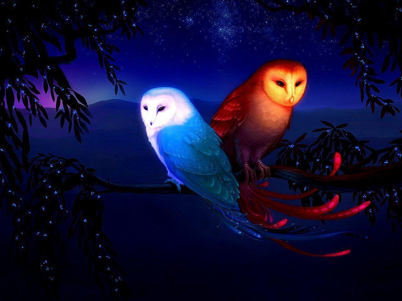Free Owl Wallpapers Wallpaper Cave