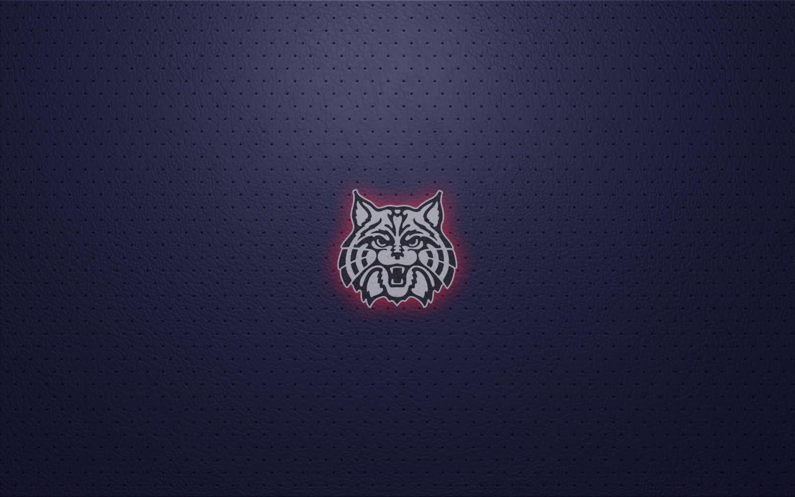 University Of Arizona Wallpapers Wallpaper Cave