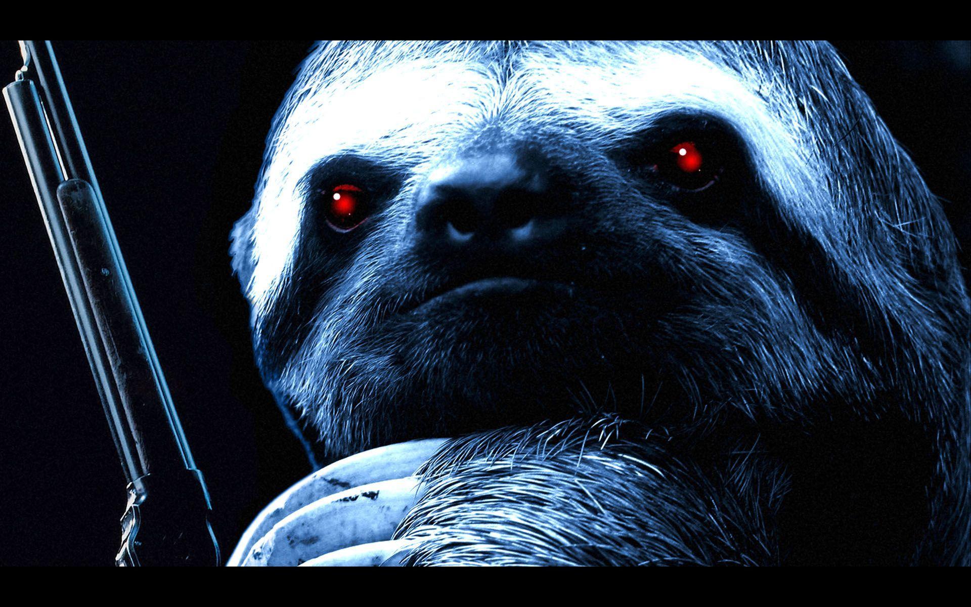 Sloth Wallpapers Wallpaper Cave