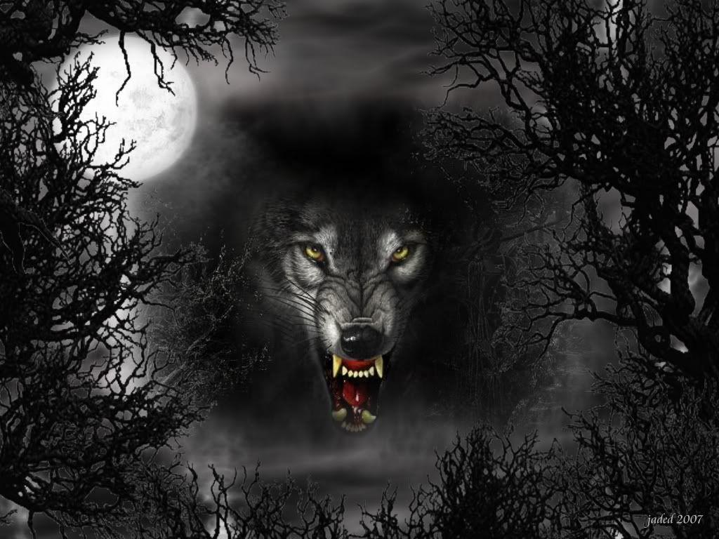 Wicca Wallpapers Wallpaper Cave