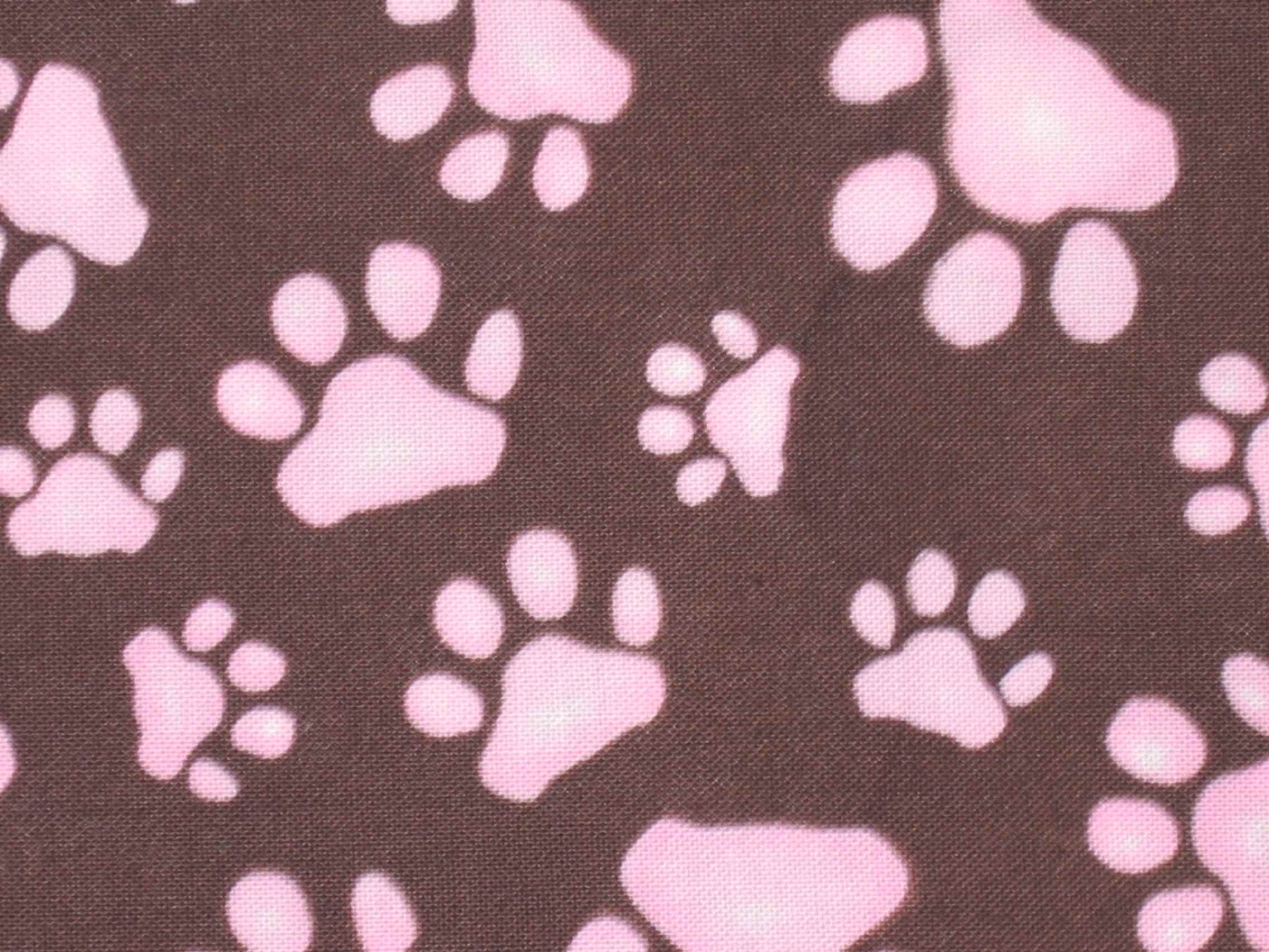 Paw Print Wallpapers Wallpaper Cave