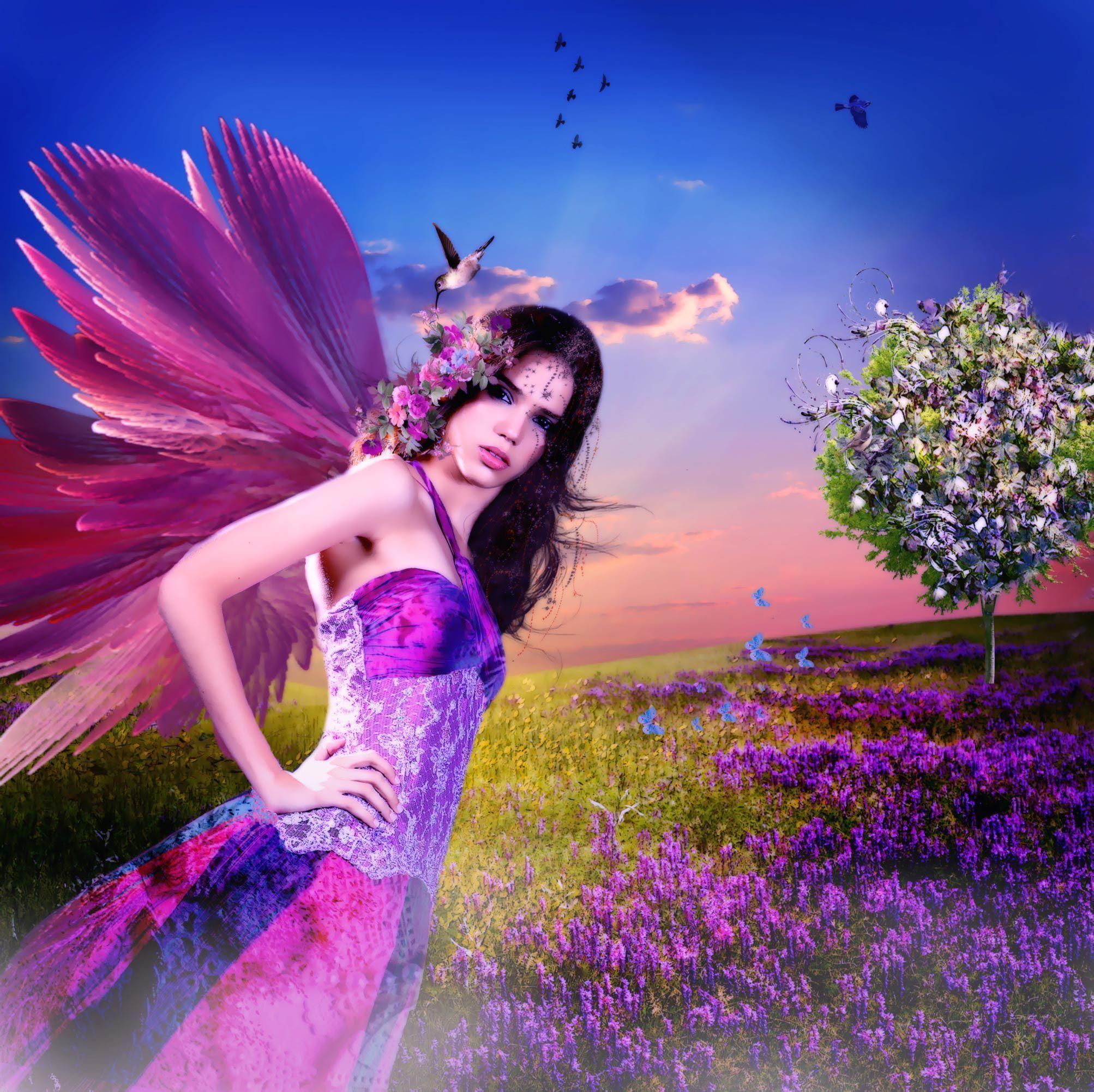 Purple Fairy Wallpapers Wallpaper Cave