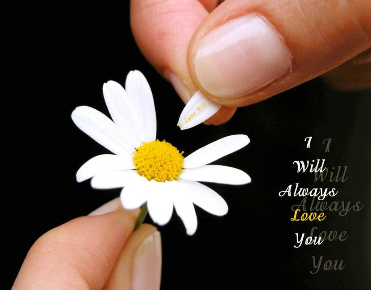 Cute Sayings Wallpapers Wallpaper Cave