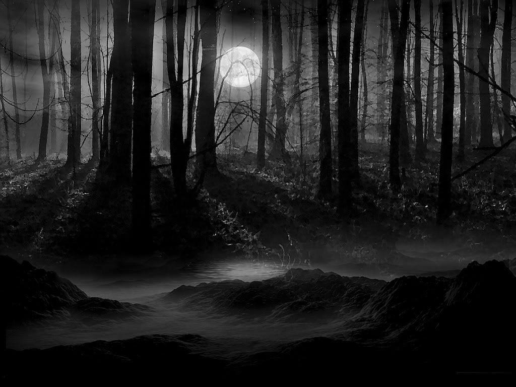 Dark Woods Wallpapers Wallpaper Cave