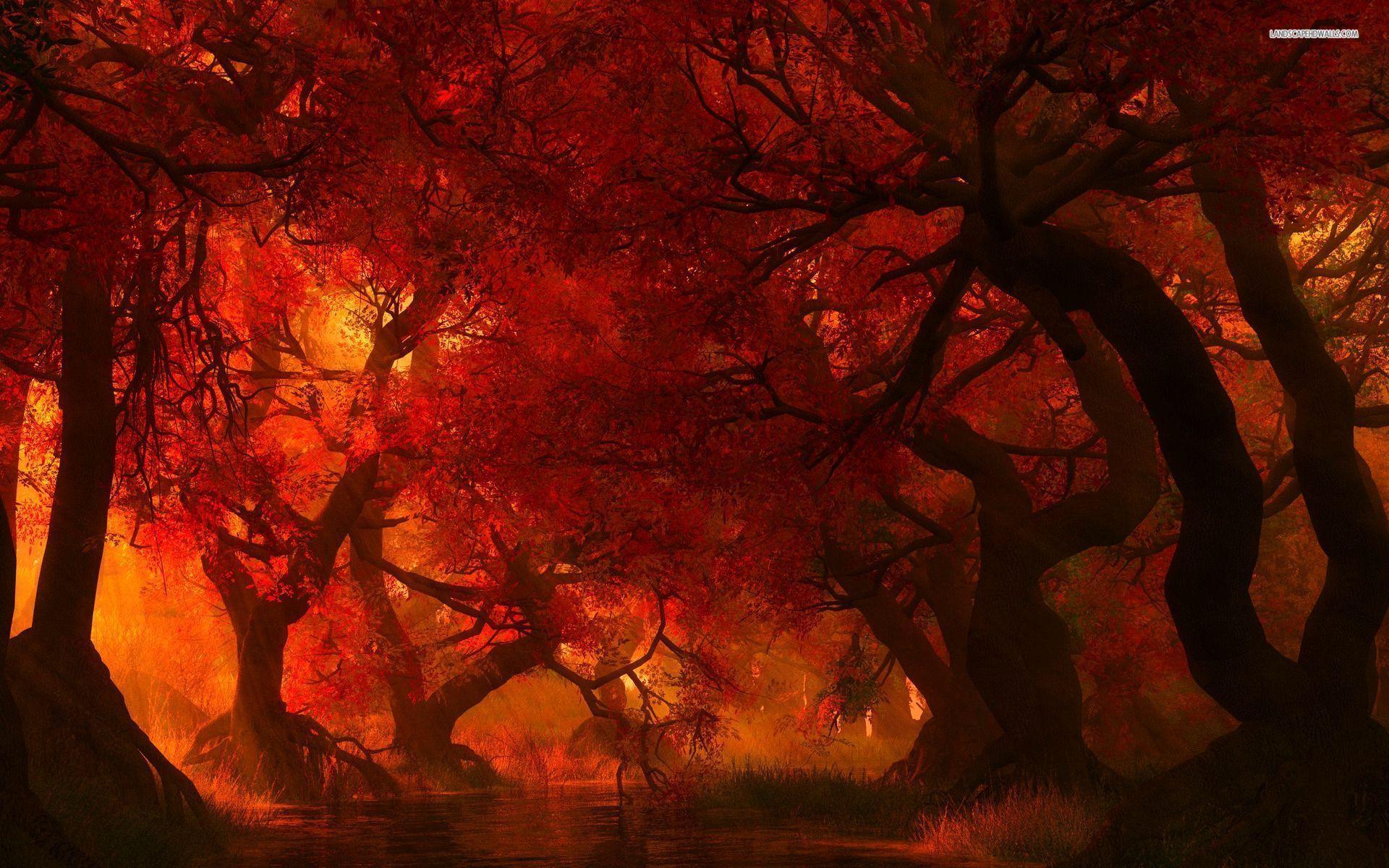 Forest Fire Wallpapers Wallpaper Cave