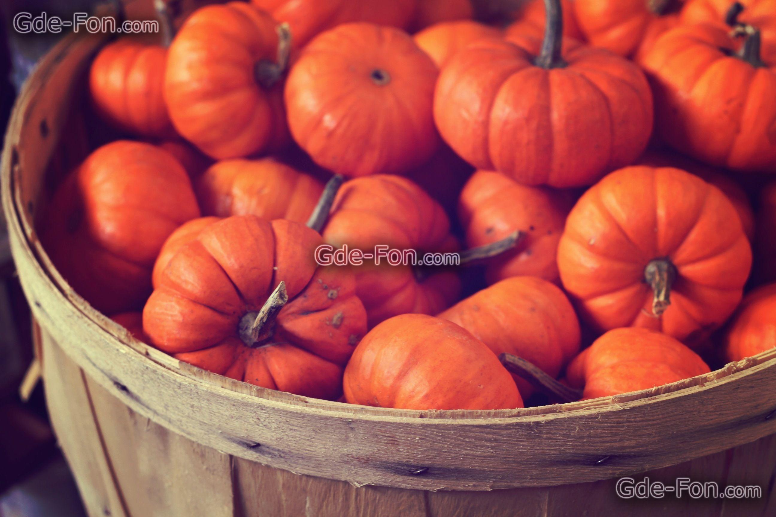 Fall Pumpkin Wallpapers Wallpaper Cave