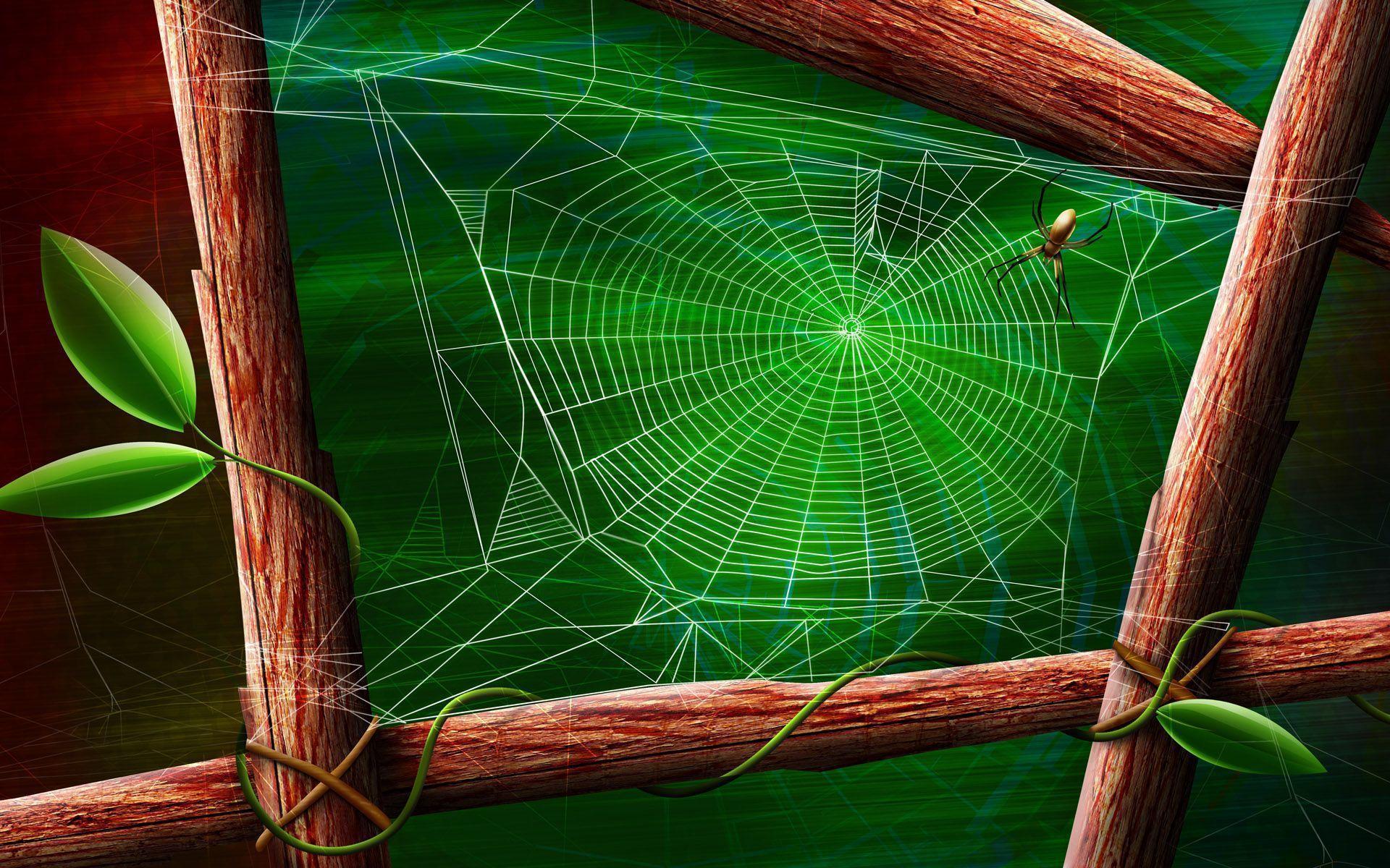Spider Web Wallpapers Wallpaper Cave